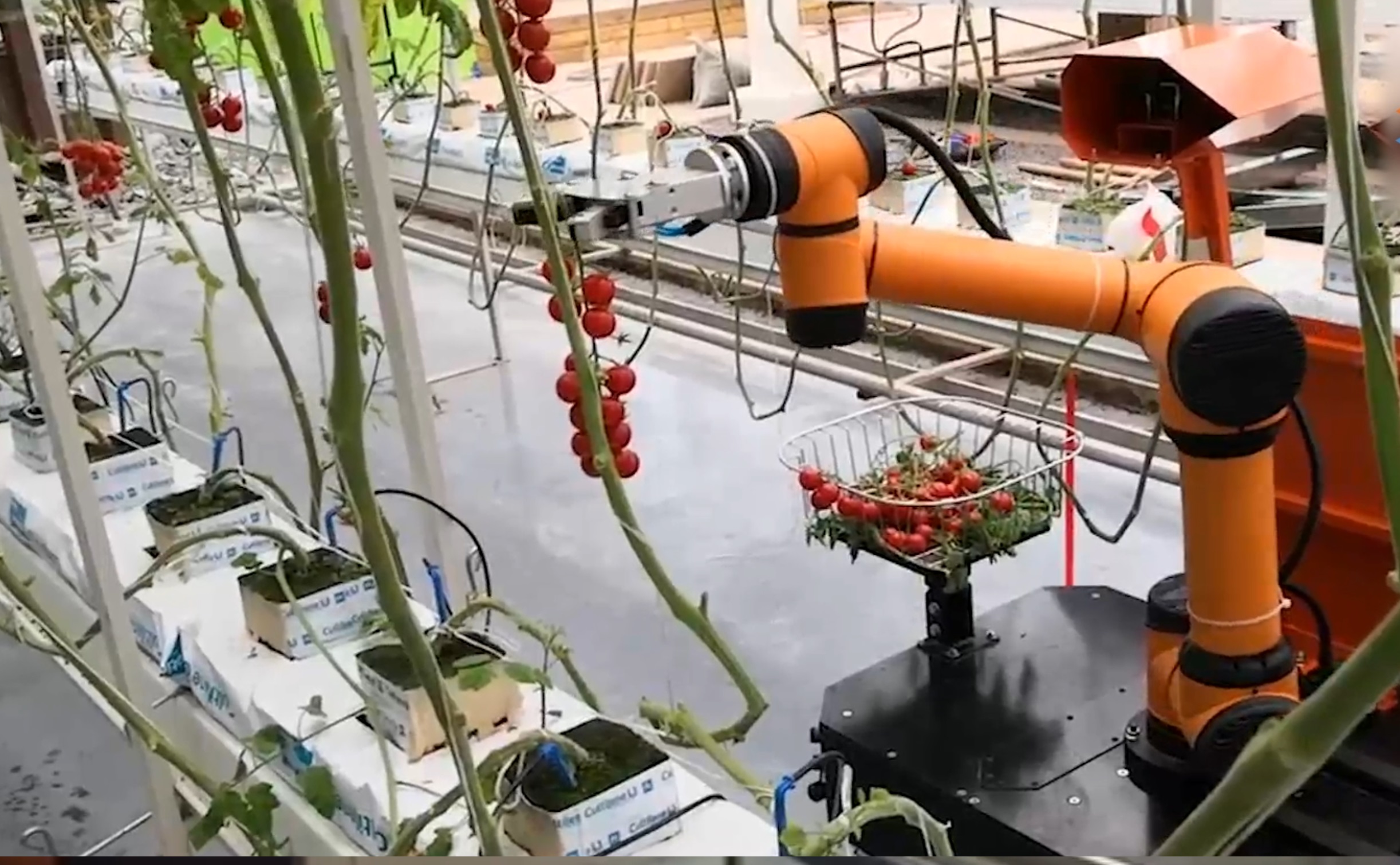 COBOTs en la Agricultura
